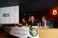 De izquierda a derecha, Ricardo Domnguez, Lorenzo Salas y Rafael Herrador en la clausura de las jornadas.  