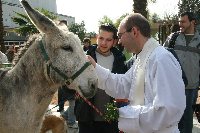 Mas de un centenar de mascotas y animales domsticos son bendecidos en el zoologico con ocasin de la festividad de San Antn