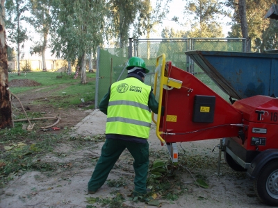 Recogida de restos vegetales en Rabanales