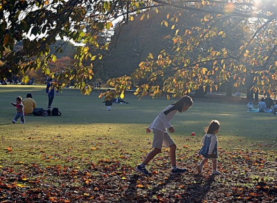 juegos en el parque