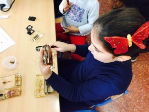 Alumna mirando una mariposa dentro de las actividades del proyecto