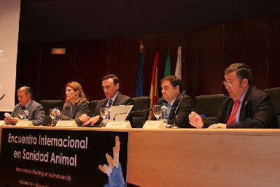 Ms de 200 expertos acuden al Encuentro Internacional en Salidad Animal, organizado por la UCO