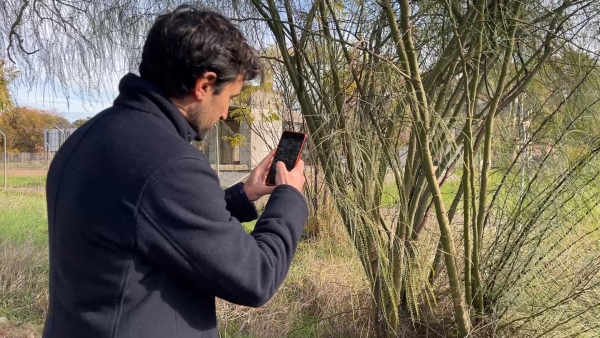 VIDEO | LA CIENCIA CIUDADANA ES UNA HERRAMIENTA EFECTIVA PARA HACER FRENTE A LAS ESPECIES INVASORAS