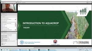 Curso online sobre la herramienta AquaCrop con el catedrático Elías Fereres Castiel, responsable del grupo AGR-119