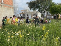 Escolares del CEIP Sierra de Adamuz localizando plantas en el descampado situado frente a su centro escolar.